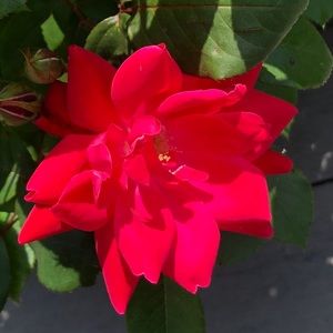 Meet your Posher, Breandha